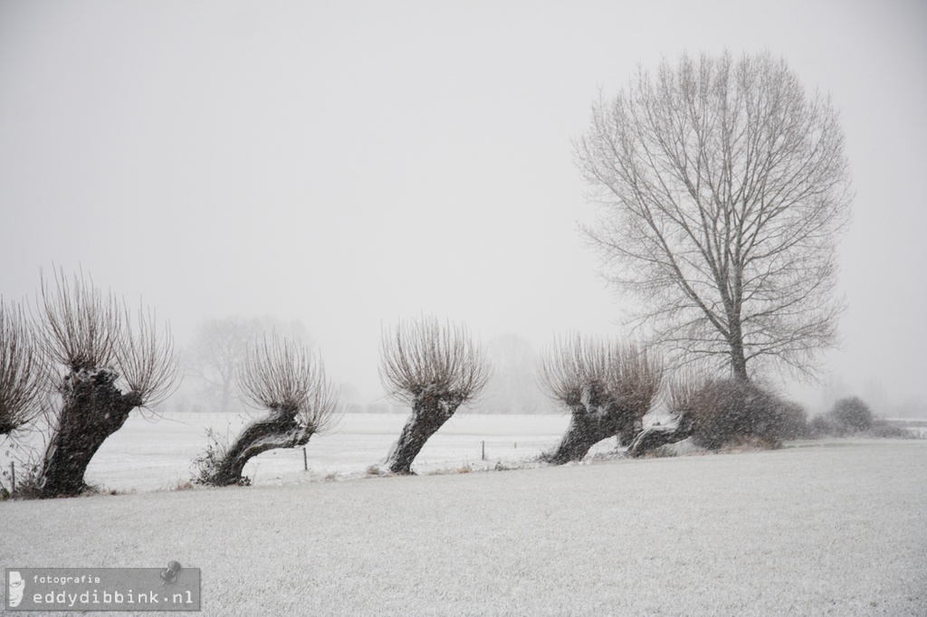 2010-12-17 Sneeuw, Deventer 012